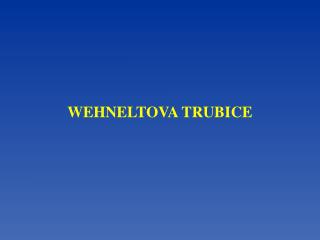 WEHNELTOVA TRUBICE