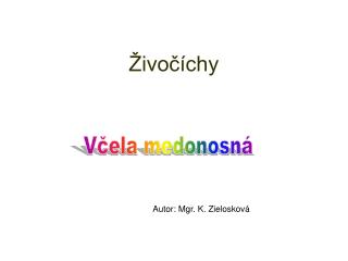 Živočíchy