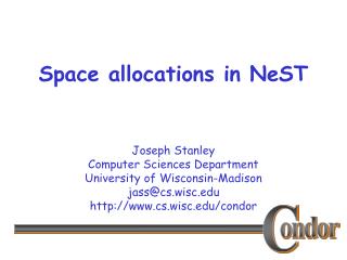 Space allocations in NeST