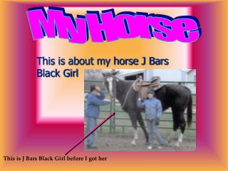 This is about my horse J Bars Black Girl