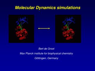 Molecular Dynamics simulations
