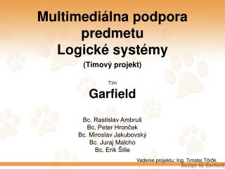 Multimediálna podpora predmetu Logické systémy (Tímový projekt)