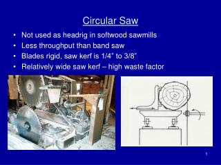 Circular Saw