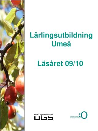 Lärlingsutbildning Umeå