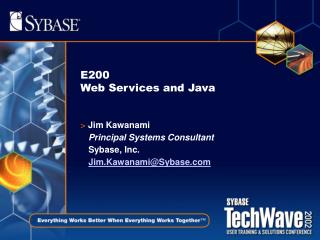 E200 Web Services and Java
