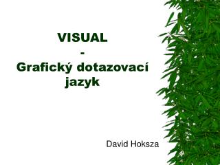 VISUAL - Grafický dotazovací jazyk