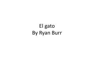 El gato By Ryan Burr