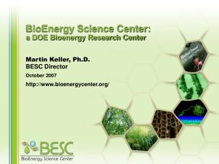 BioEnergy Science Center: a DOE Bioenergy Research Center
