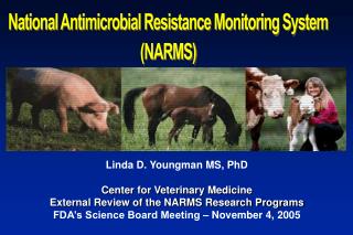 National Antimicrobial Resistance Monitoring System (NARMS)