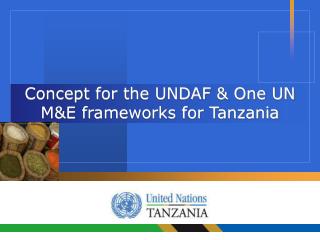 Concept for the UNDAF &amp; One UN M&amp;E frameworks for Tanzania