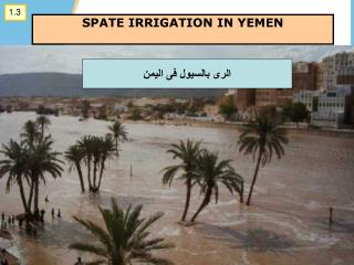 SPATE IRRIGATION IN YEMEN