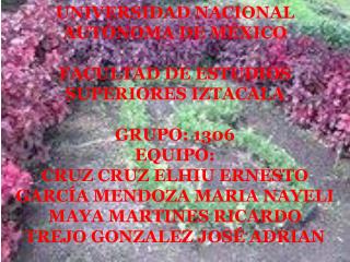 UNIVERSIDAD NACIONAL AUTÓNOMA DE MÉXICO FACULTAD DE ESTUDIOS SUPERIORES IZTACALA GRUPO: 1306