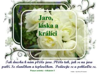 Jaro, láska a králíci