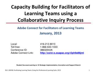Capacity Building for Facilitators of Learning Teams using a Collaborative Inquiry Process