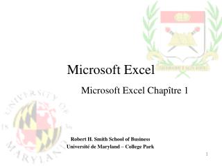 Microsoft Excel