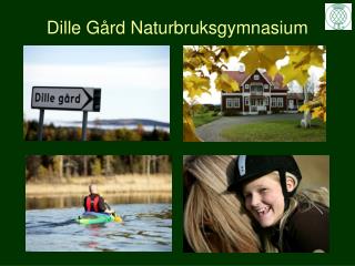 Dille Gård Naturbruksgymnasium