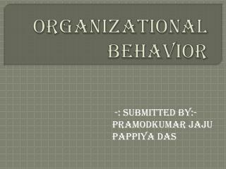 Organizational Behavior