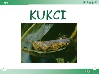 KUKCI