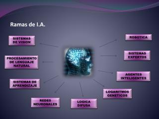 Ramas de I.A.