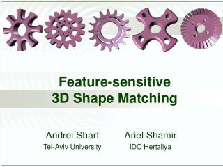 Feature-sensitive 3D Shape Matching