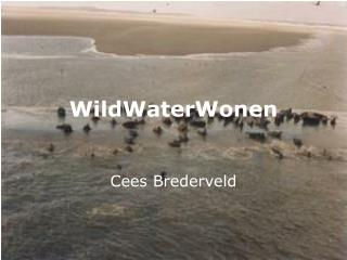 WildWaterWonen