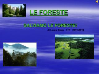 LE FORESTE