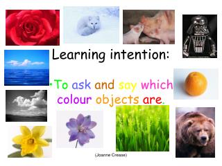 Learning intention: