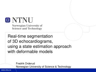 Real-time segmentation of 3D echocardiograms, using a state estimation approach