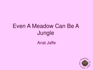 Even A Meadow Can Be A Jungle