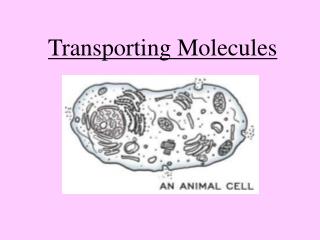 Transporting Molecules