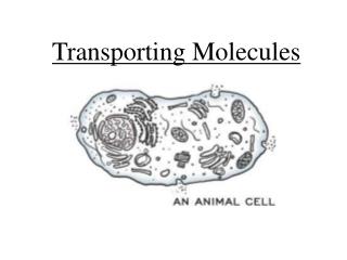 Transporting Molecules