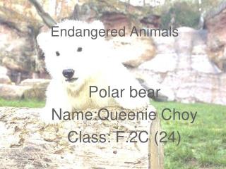 Endangered Animals