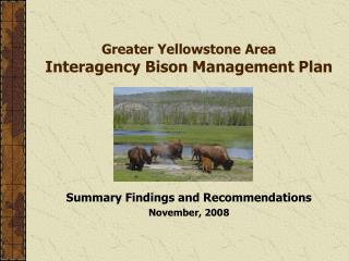 Greater Yellowstone Area Interagency Bison Management Plan