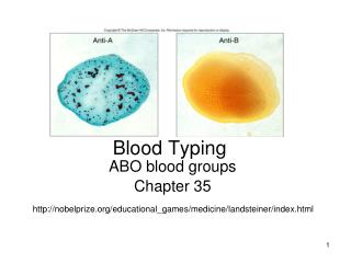 Blood Typing