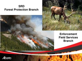 SRD Forest Protection Branch