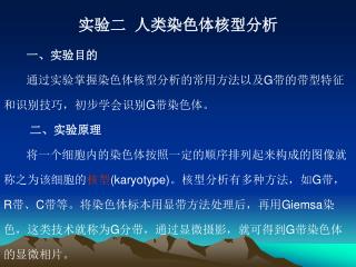 实验二 人类染色体核型分析