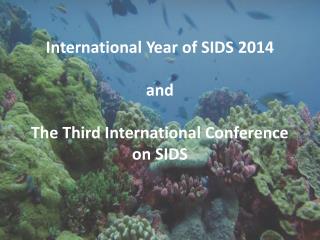 International Year of SIDS 2014 and The Third International Conference on SIDS