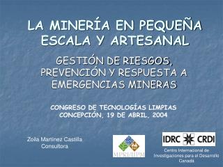 LA MINERÍA EN PEQUEÑA ESCALA Y ARTESANAL