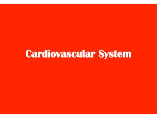 The	Cardiovascular	System