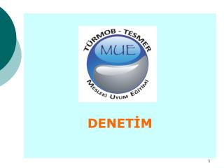 DENETİM