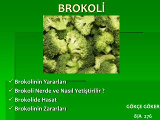 BROKOLİ