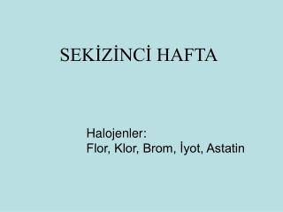 SEKİZİNCİ HAFTA