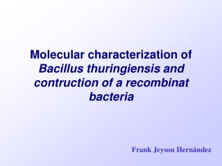 Molecular characterization of Bacillus thuringiensis and contruction of a recombinat bacteria