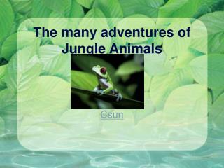 The many adventures of Jungle Animals