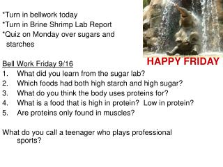 *Turn in bellwork today *Turn in Brine Shrimp Lab Report *Quiz on Monday over sugars and