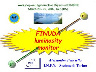 FINUDA luminosity monitor