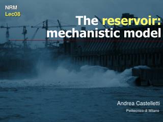 The reservoir: mechanistic model