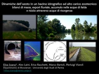 Dinamiche dell’azoto in un bacino idrografico ad alto carico zootecnico: