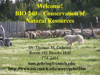 Dr. Thomas M. Gehring Room 181 Brooks Hall 774-2484 tom.gehring@cmich