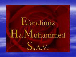 H.Z. MUHAMMED (S.A.V)